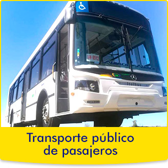 Transporte público de pasajeros